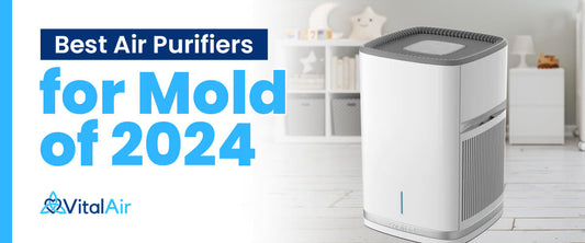Best Air Purifiers for Mold of 2024