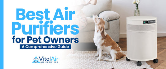 Best Air Purifiers for Pet Owners A Comprehensive Guide
