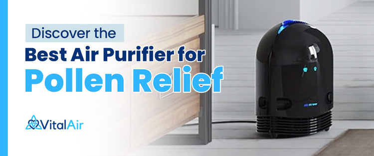 Discover the Best Air Purifier for Pollen Relief