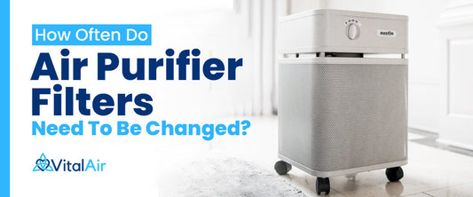 How Often Do Air Purifier Filters Need to Be Changed