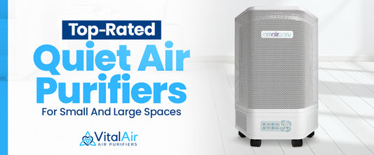 Top-Rated Quiet Air Purifiers for Small and Large Spaces