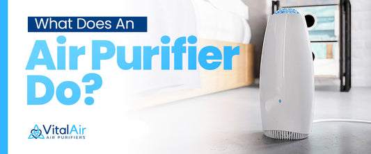 What Does An Air Purifier Do