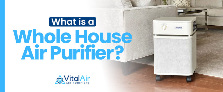What Is a Whole House Air Purifier